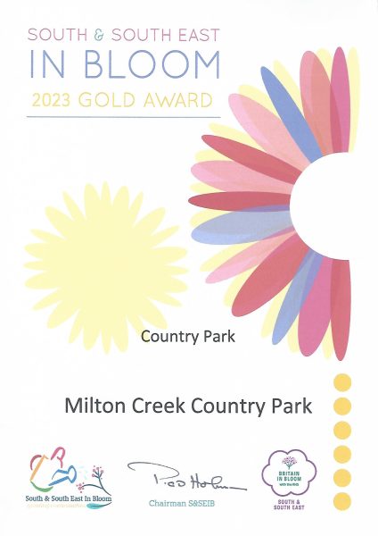 South East in Bloom – 2023 Gold Award