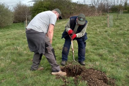 Volunteers digging the planting hols