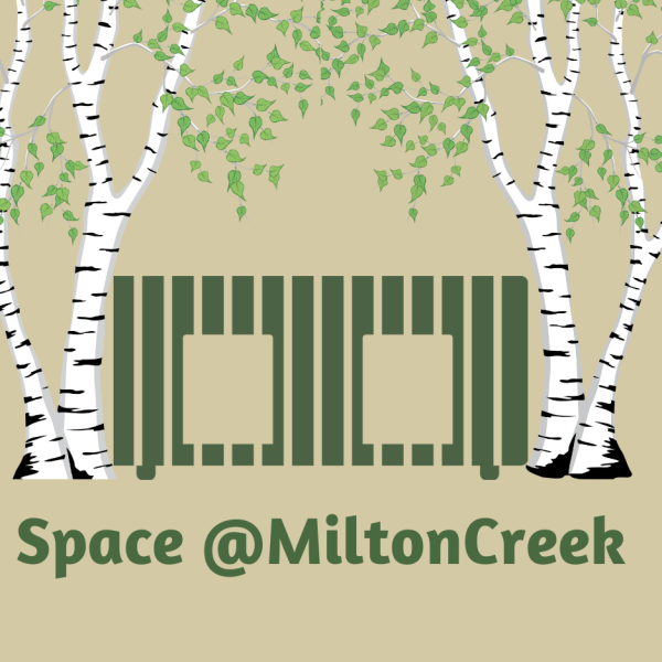 Milton Creek Country Park - News